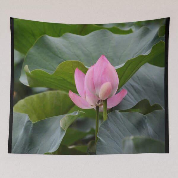 Item preview, Green foliage with a pink flower. redecorate, refurbish, Bird, nature designed and sold by jayne0524.