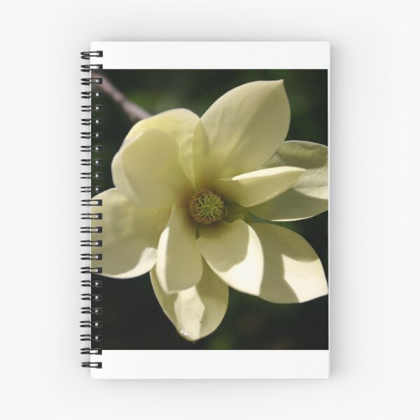 Item preview, Southern charm designed and sold by Jean Knowles.