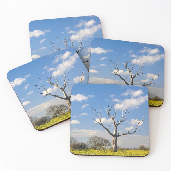 Item preview, Trees in Oilseed Rape Fields designed and sold by bitm2007.