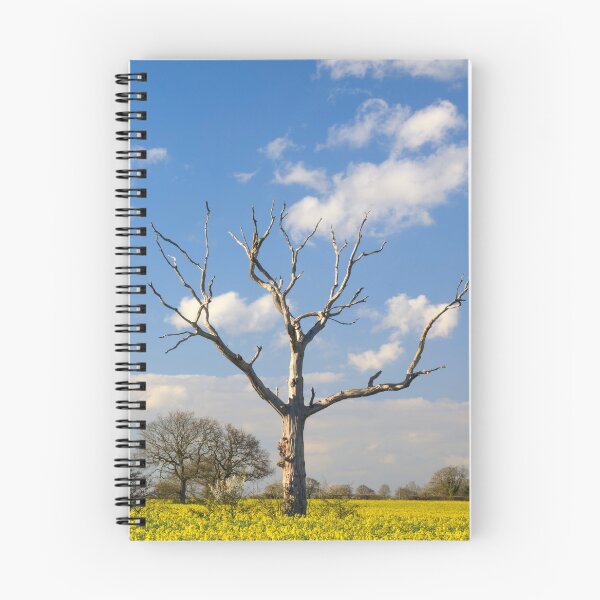 Item preview, Trees in Oilseed Rape Fields designed and sold by bitm2007.