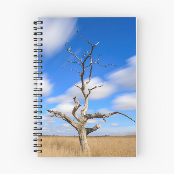 Artikelvorschau, Lone tree (Snape Maltings) entworfen und verkauft von bitm2007.