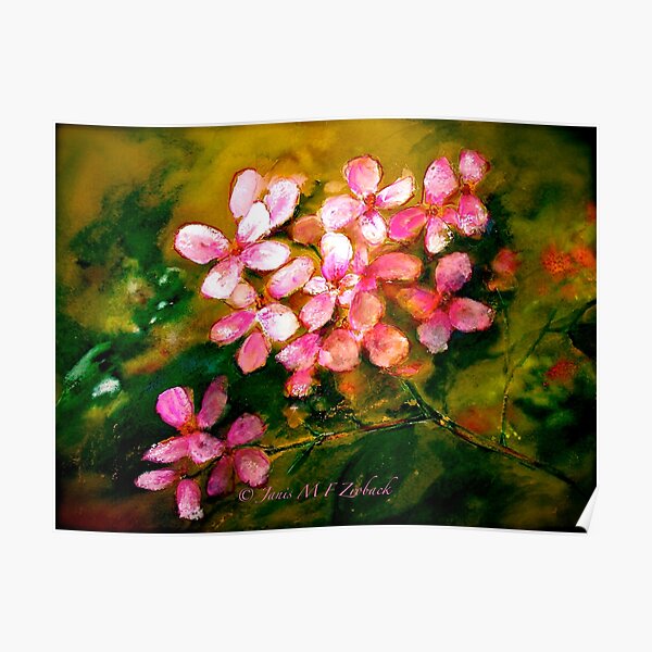 Pink Geranium Poster