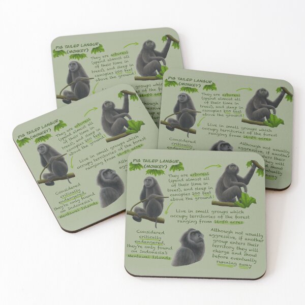 Item preview, Monkey (Pig Tailed Langur) Fun Facts designed and sold by troyanthonyart.