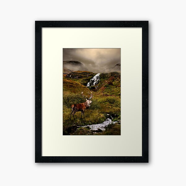 Monarch of the Glen Framed Art Print
