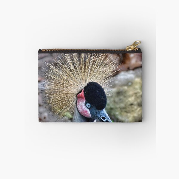 Item preview, Big Bird designed and sold by Lanis Rossi.