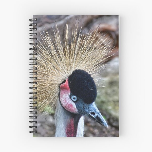 Item preview, Big Bird designed and sold by Lanis Rossi.