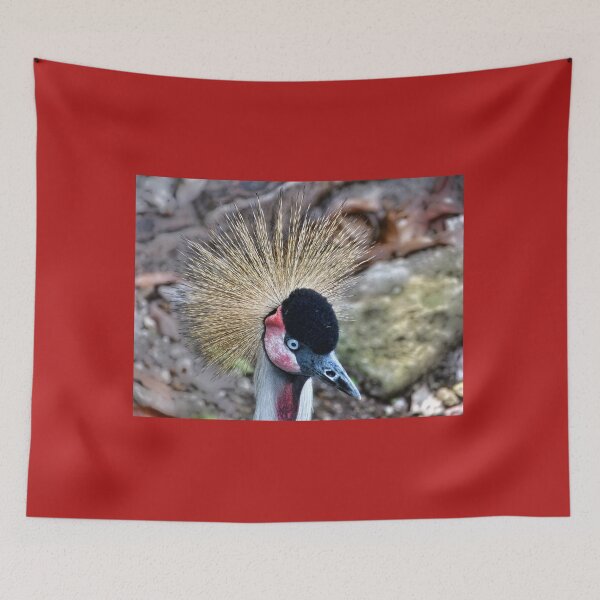 Item preview, Big Bird designed and sold by Lanis Rossi.