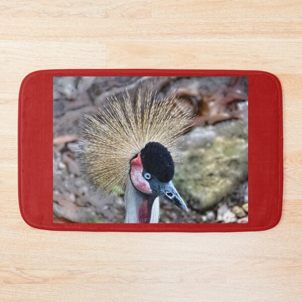 Item preview, Big Bird designed and sold by Lanis Rossi.