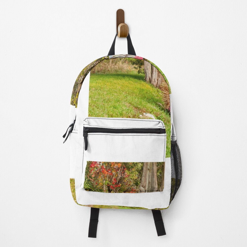 Item preview, Backpack designed and sold by Ruthie33.