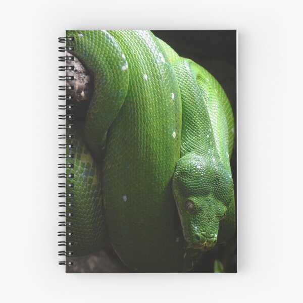 Item preview, Green Tree Python designed and sold by Catavan.