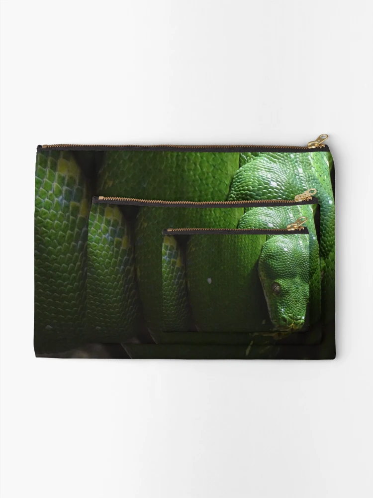 Thumbnail 2 of 4, Zipper Pouch, Green Tree Python designed and sold by Catavan.