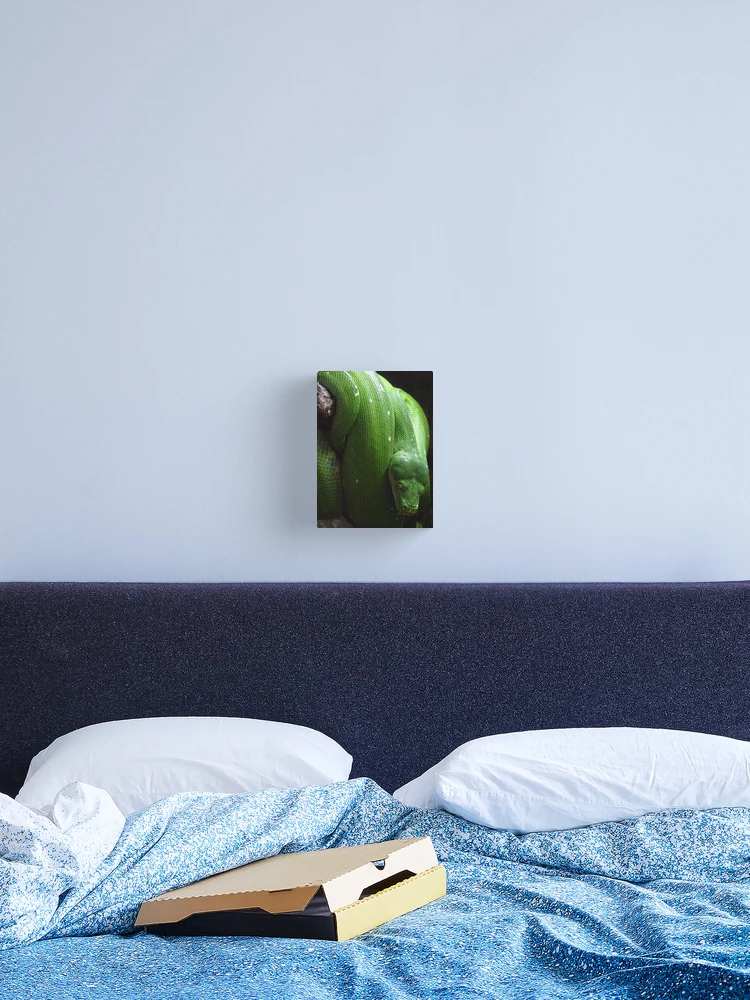 Thumbnail 2 of 3, Canvas Print, Green Tree Python designed and sold by Catavan.