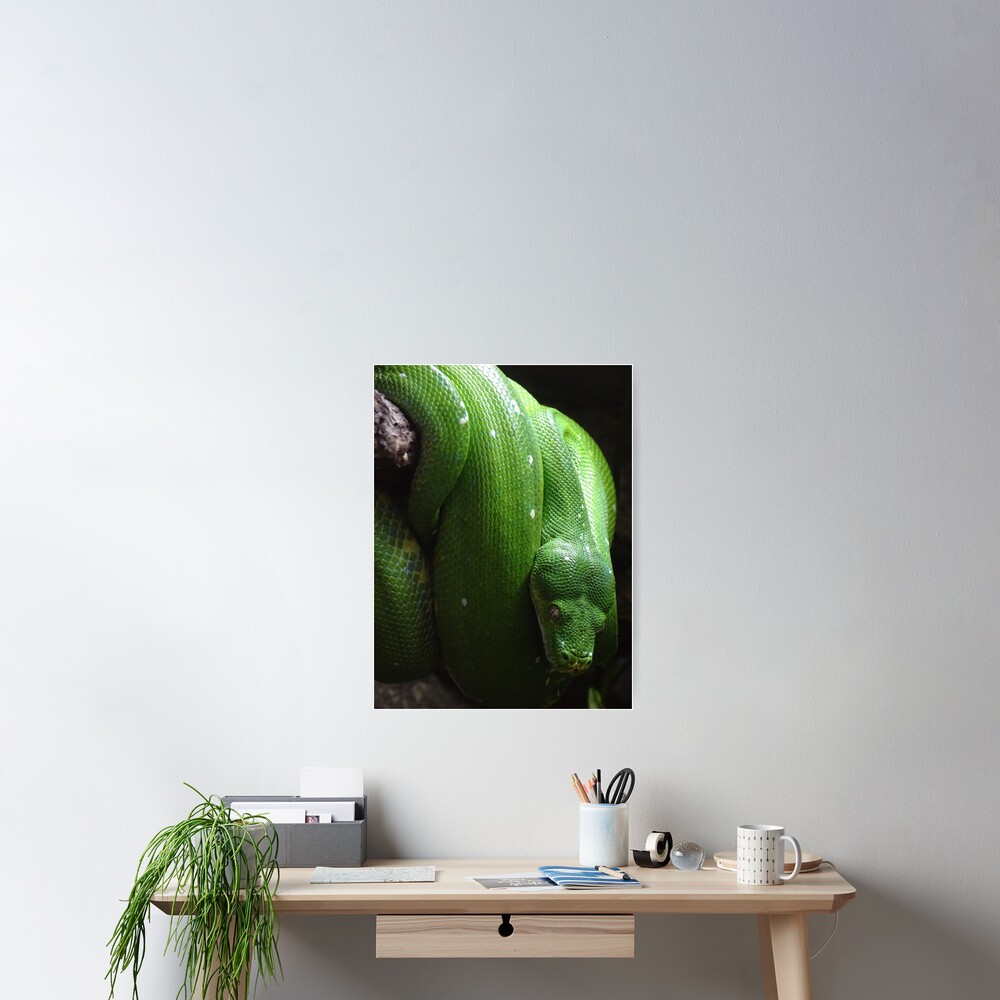 Item preview, Poster designed and sold by Catavan.