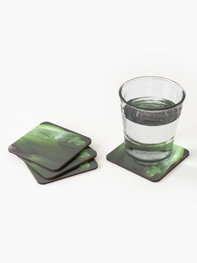 Thumbnail 2 of 5, Coasters (Set of 4), Green Tree Python designed and sold by Catavan.