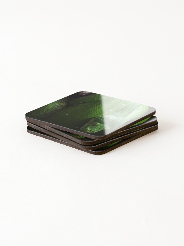 Thumbnail 4 of 5, Coasters (Set of 4), Green Tree Python designed and sold by Catavan.