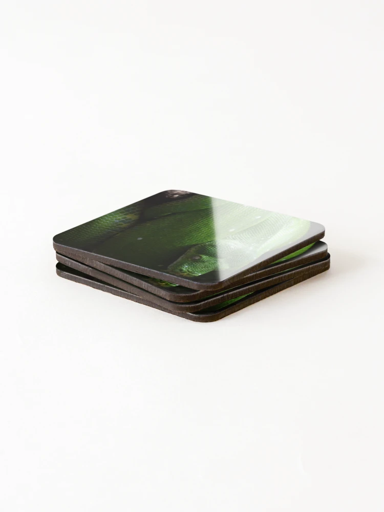 Thumbnail 4 of 5, Coasters (Set of 4), Green Tree Python designed and sold by Catavan.