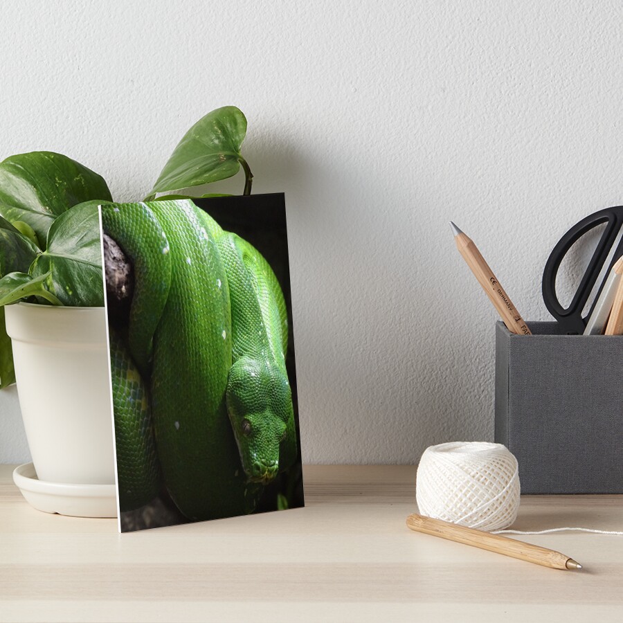 Item preview, Art Board Print designed and sold by Catavan.