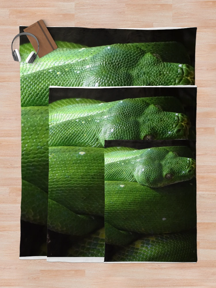 Thumbnail 5 of 6, Throw Blanket, Green Tree Python designed and sold by Catavan.