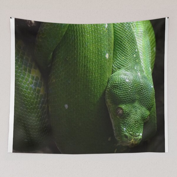 Item preview, Green Tree Python designed and sold by Catavan.
