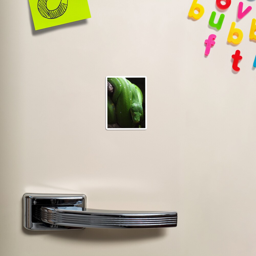 Item preview, Magnet designed and sold by Catavan.