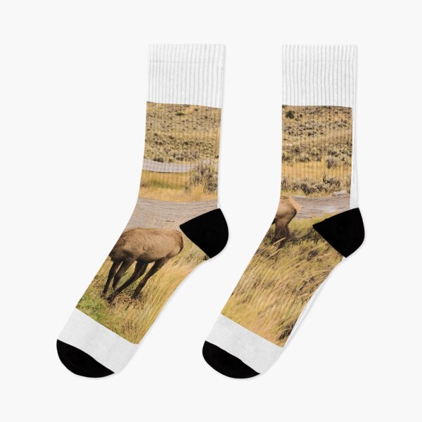 Item preview, Mule Deer in Yellowstone National park   designed and sold by Vsaditya2020.