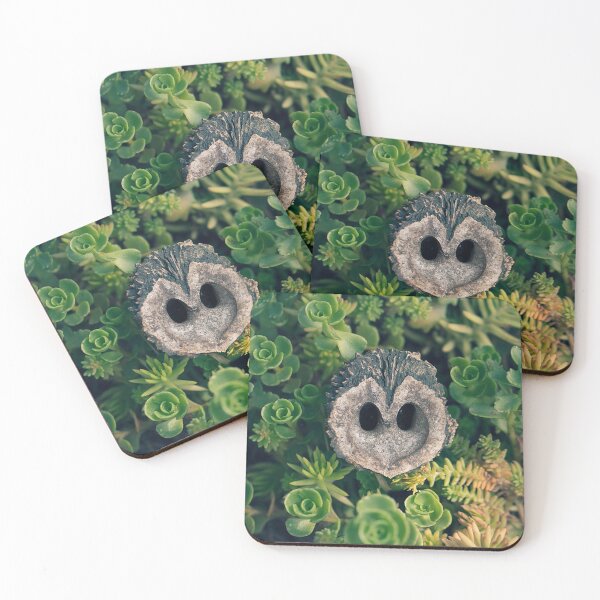 Item preview, Owl, Walnut, and Succelent designed and sold by Mass Monumentalist.