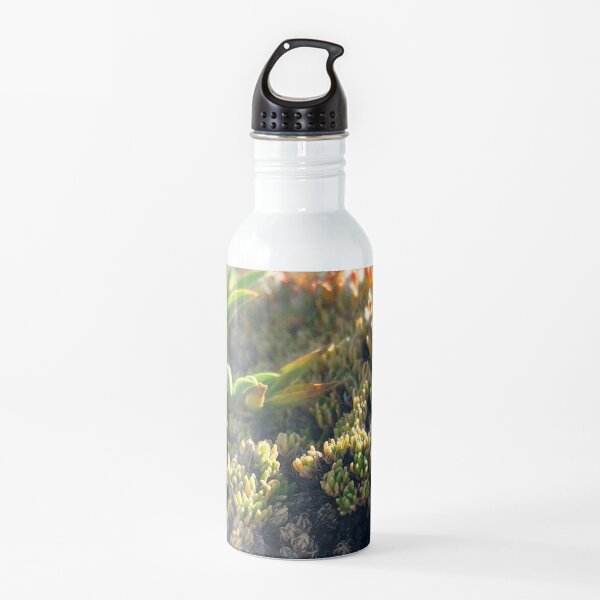 Watercolor Moss, Tundra Plants 01, RMNP, Colorado Water Bottle