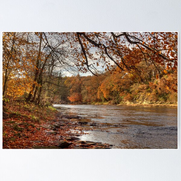 Item preview, Autumn On The River Wear designed and sold by Great North Views.