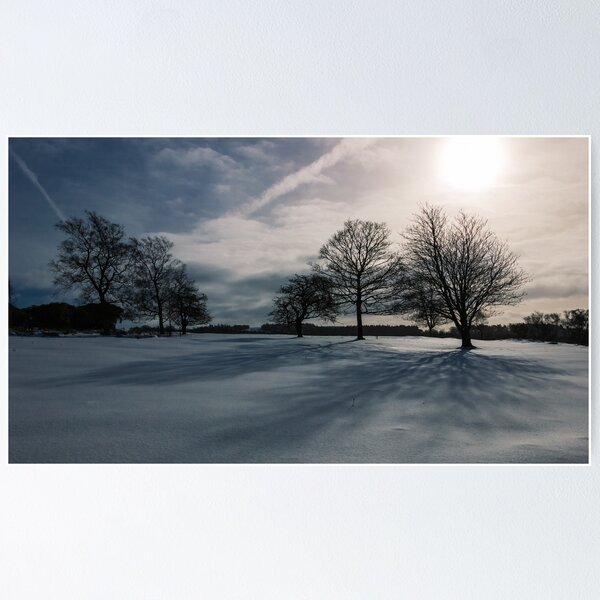 Winter Shadow Poster