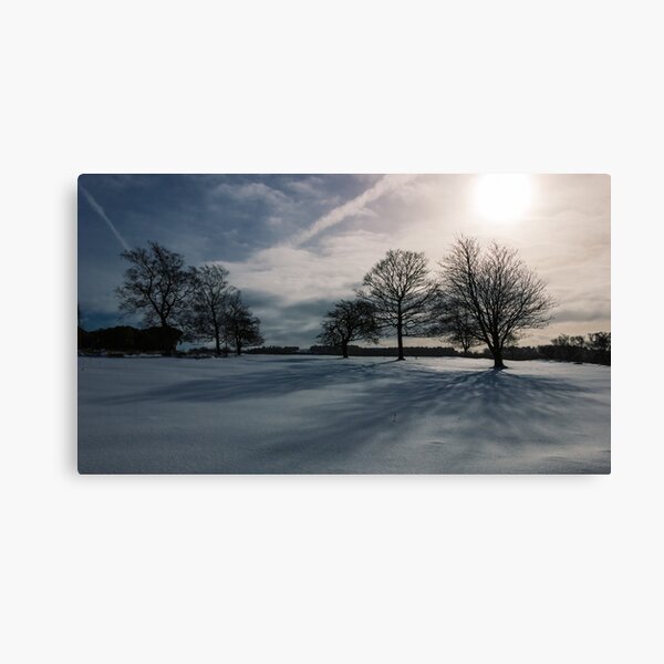 Winter Shadow Canvas Print
