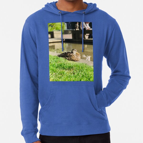 daffy duck stacking money hoodie