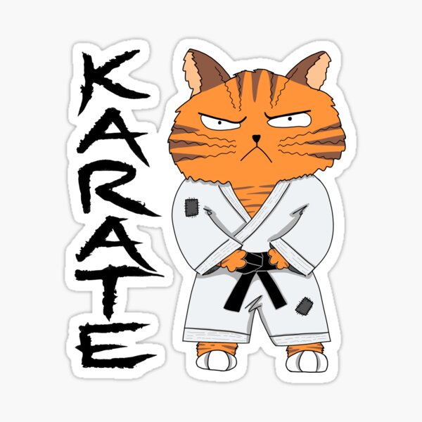 Produits Sur Le Theme Chat De Karate Redbubble