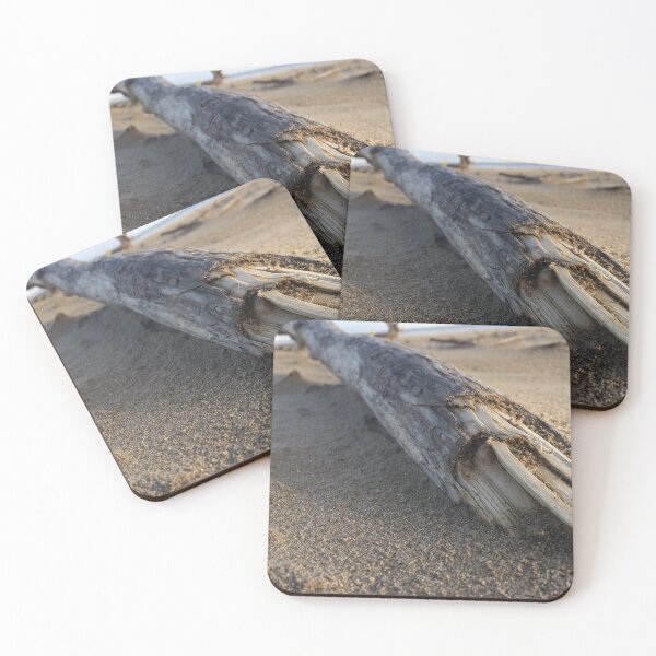 Item preview, Beach Branch designed and sold by Jessie Williams.