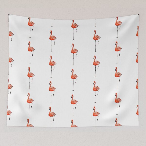 Item preview,  they can be found especially in the southern hemisphere of the earth in temperate and cold zones. They are a very old group of birds. designed and sold by Zwuck.