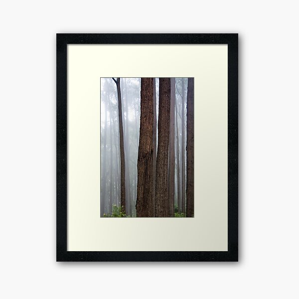 Item preview, Forest Composition North of Cape Conran designed and sold by Alex Fricke.