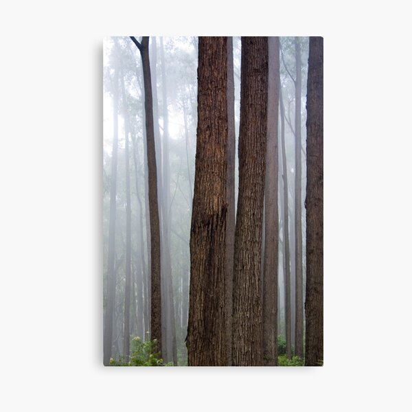 Item preview, Forest Composition North of Cape Conran designed and sold by Alex Fricke.