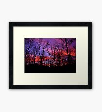 God Painted The Winter With Color Framed Print