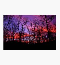 God Painted The Winter With Color Photographic Print