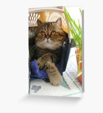Home sweet home Greeting Card