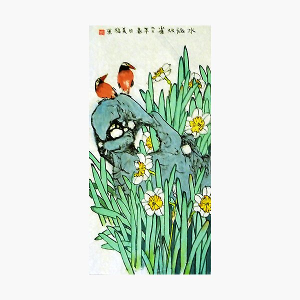 Small Chat Photographic Print
