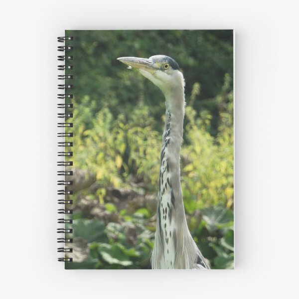 Item preview, Curious Heron designed and sold by C Rose.