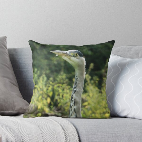 Item preview, Curious Heron designed and sold by C Rose.