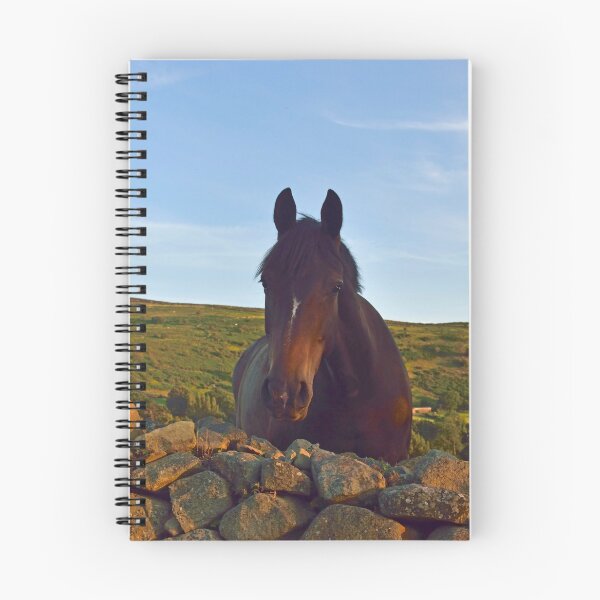 Item preview, A Horse is A Horse, of Course, of Course. designed and sold by Michael Haslam.