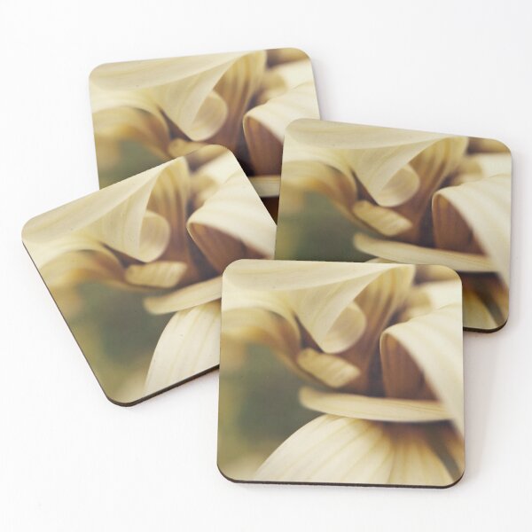 Item preview, Flower Ribbon designed and sold by hashtagart.
