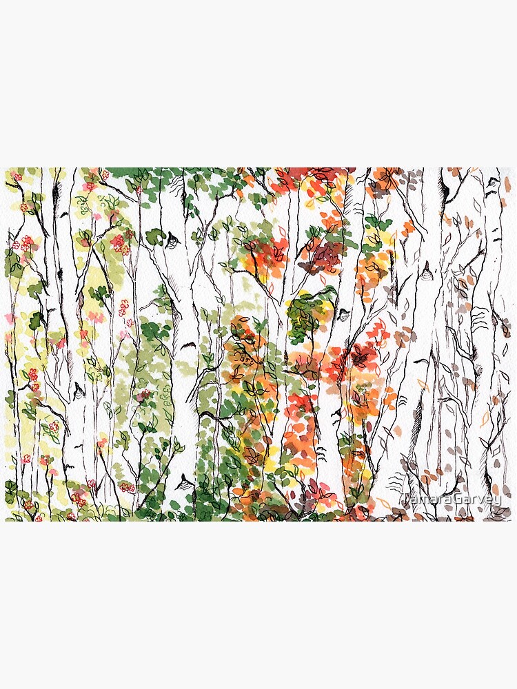 Birch Forest, Four Seasons by TamaraGarvey
