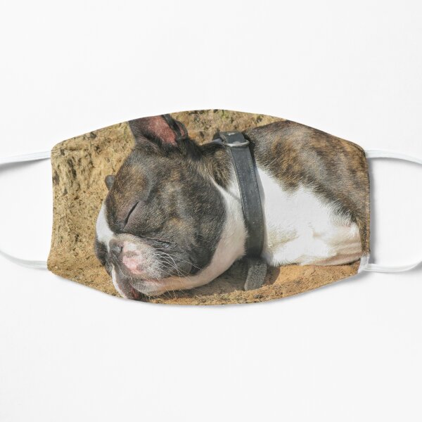 Boston Terrier sleeping Mask