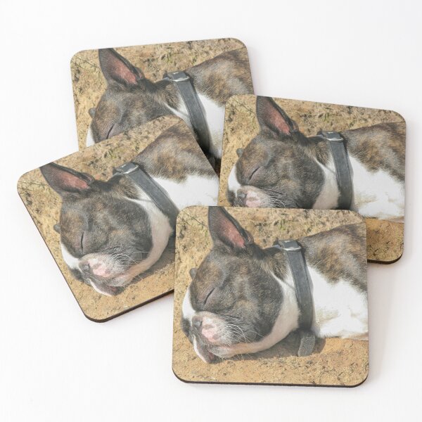Item preview, Boston Terrier sleeping designed and sold by Photopat.
