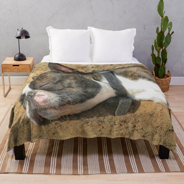 Item preview, Boston Terrier sleeping designed and sold by Photopat.