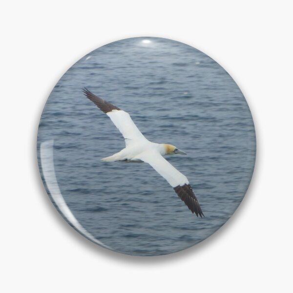 Item preview, Swooping Gannet designed and sold by C Rose.