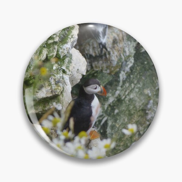 Item preview, Shy Puffin designed and sold by C Rose.